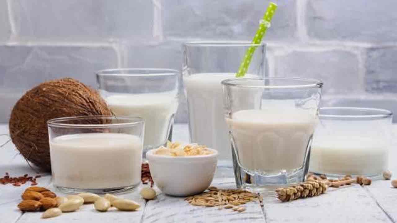 Vegan Milk: శాఖాహార పాలు అంటే ఏమిటి.. వాటిల్లో రకాలు.. ఉపయోగాలు..