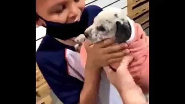Viral Video: కోట్లు ఖర్చు చేసినా ఈ ఆనందం దొరుకుతుందా..? చిన్నారిని సర్ప్రైజ్ చేసిన తల్లి.. వీడియో వైరల్