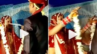 Viral Video: ఫేమస్ బ్యూటీషియన్‌లు కూడా పనికిరారు.. ఈ కోతి పని చూస్తే అవాక్కవ్వాల్సిందే..