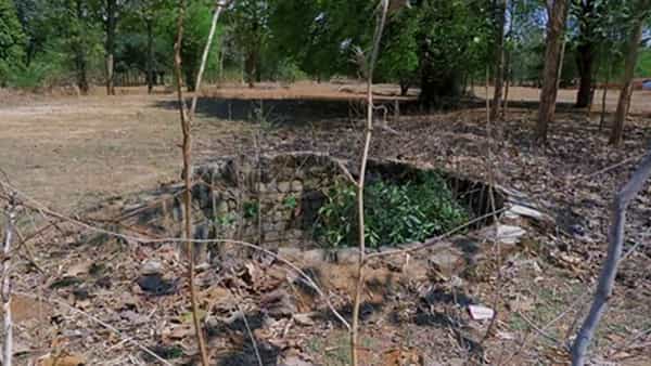 Viral News: బావిలో వింత శబ్ధాలు.. చూసి హడలెత్తిపోయిన గ్రామస్థులు.. చివరకు ఏమైందంటే..?