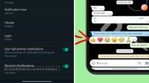 WhatsApp Feature Update: రియాక్షన్ నోటిఫికేషన్తో మారనున్న వాట్సప్ ఛాటింగ్.. త్వరలో అందుబాటులోకి రానున్న సరికొత్త ఫీచర్..!