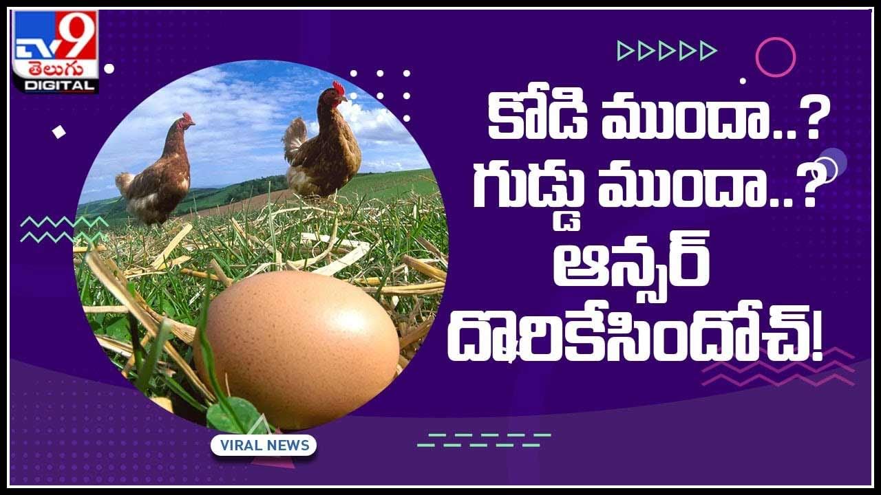 Which is first chicken or egg: కోడి ముందా.. గుడ్డు ముందా..? ఆన్స‌ర్ దొరికేసిందోచ్‌…!అమెరికన్‌ సైంటిస్టుల వివరణ.. (వైరల్ వీడియో)