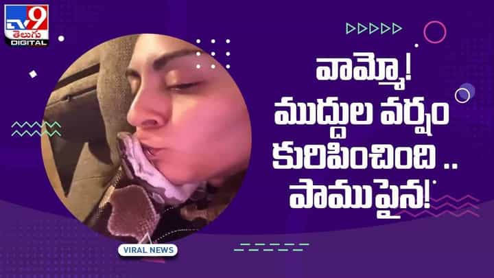 Viral Video: వామ్మో! పాముపై ముద్దుల వర్షం కురిపించింది! వీడియో Viral Video: వామ్మో! పాముపై ముద్దుల వర్షం కురిపించింది! వీడియో