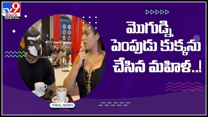 Couple Weird Photoshoot: మొగుడ్ని పెంపుడు కుక్కను చేసిన మహిళ..! భర్త మెడలో గొలుసు కట్టి మరీ తిప్పింది గా.. (వీడియో) Couple Weird Photoshoot: మొగుడ్ని పెంపుడు కుక్కను చేసిన మహిళ..! భర్త మెడలో గొలుసు కట్టి మరీ తిప్పింది గా.. (వీడియో)