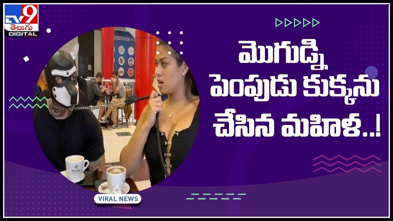 Couple Weird Photoshoot: మొగుడ్ని పెంపుడు కుక్కను చేసిన మహిళ..! భర్త మెడలో గొలుసు కట్టి మరీ తిప్పింది గా.. (వీడియో)