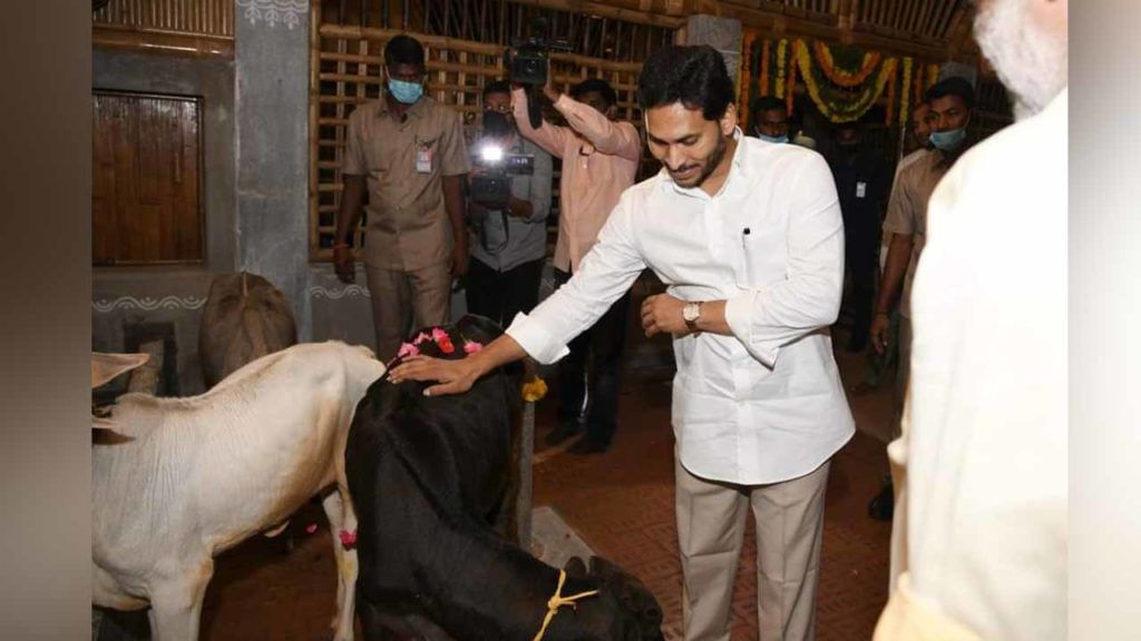 Andhra Pradesh: తాడేపల్లిలోని జగన్ నివాసం వద్ద మరో అద్భుత నిర్మాణం.. వైరల్ అవుతున్న ఫోటోలు..
