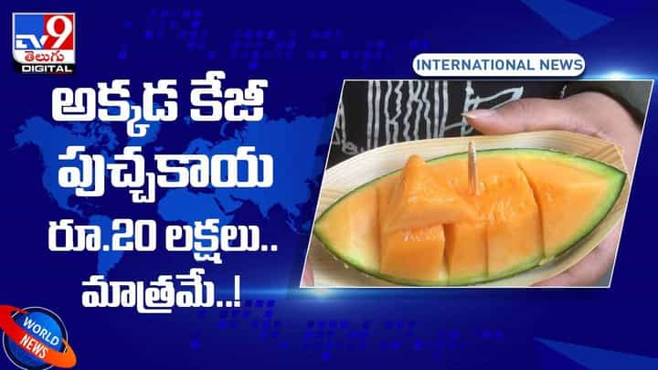 అక్కడ కేజీ పుచ్చకాయ రూ.20 లక్షలు.. మాత్రమే..! వీడియో అక్కడ కేజీ పుచ్చకాయ రూ.20 లక్షలు.. మాత్రమే..! వీడియో