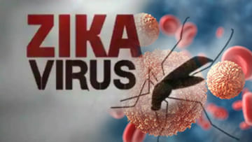 Zika Virus: పెరుగుతున్న జికా వైరస్ వ్యాప్తి.. గర్భిణీలు మరింత జాగ్రత్తగా ఉండాలి.. లేదంటే..