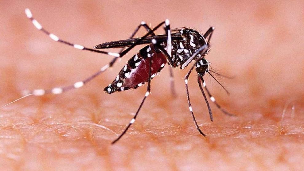 Zika Virus: జికా వైరస్ హెచ్చరిక.. కొత్తగా13 కేసులు.. జాగ్రత్తగా ఉండకపోతే అంతే సంగతులు