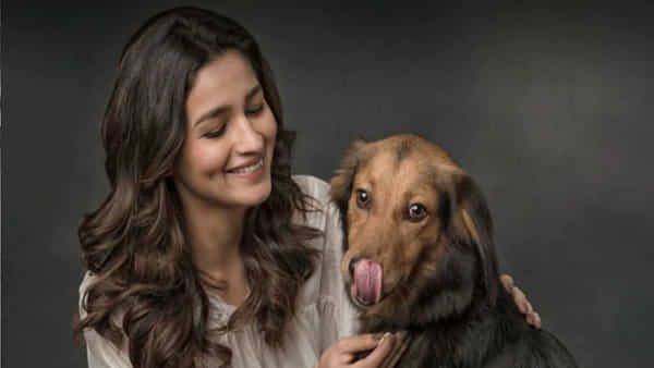 Alia bhatt: ఆర్ఆర్ఆర్ బ్యూటీకి అరుదైన గౌరవం.. మూగజీవాలపై ప్రేమకు గుర్తుగా..