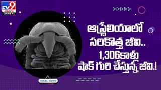 British Queen: జలియన్‌వాలాబాగ్ మారణకాండకు ప్రతీకారంగా బ్రిటన్ రాణి ఎలిజబెత్ ను చంపడానికి హైటెక్ ప్రయత్నం.. నిందితుడి అరెస్ట్!