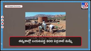 Python Viral Video: వామ్మో ఇదేం పాము.. నది ఒడ్డున సన్‌బాత్‌ చేస్తుంది.. షాక్ కు గురి చేస్తున్న వీడియో