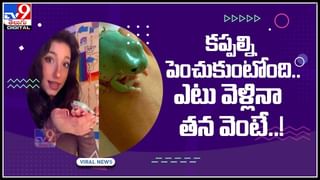 న్యూ ఇయర్‌ రోజున అక్కడ కిటికీల్లోంచి కుర్చీలను బయటకు విసిరేస్తారట! మరో చోట కుర్చీ నుంచి కిందకు దూకుతారట!