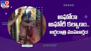 Viral Video: సింహంపై హైనాల మంద దాడి !! వీడియో