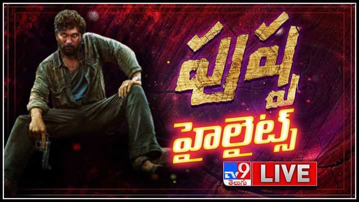 Pushpa MASSive Pre Release Highlights: మొదలైన ఐకాన్ స్టార్ పుష్పరాజ్ సందడి'లో హైలెట్స్ ...(వీడియో) Pushpa MASSive Pre Release Highlights: మొదలైన ఐకాన్ స్టార్ పుష్పరాజ్ సందడి'లో హైలెట్స్ ...(వీడియో)