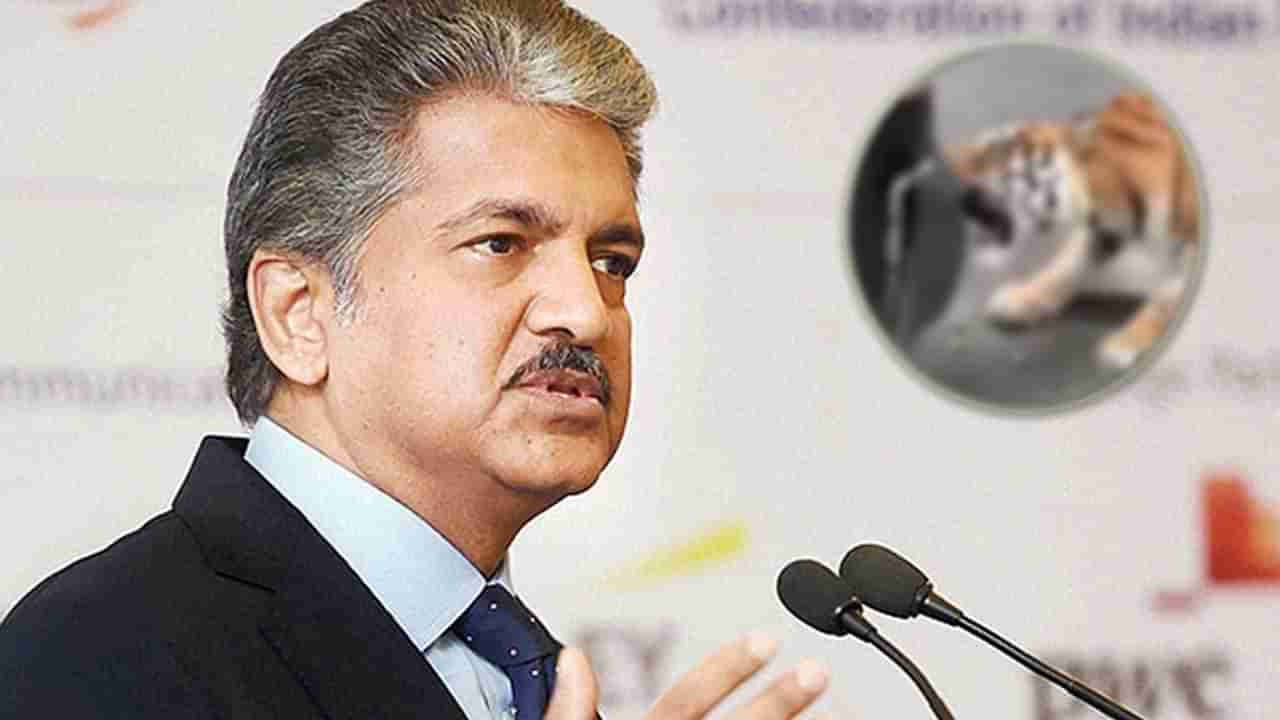 Anand Mahindra - Viral Video: ఆనంద్ మహీంద్రా ట్వీట్.. వామ్మో అని హడలిపోతున్న నెటిజన్లు.. వీడియోను మీరూ చూసేయండి..