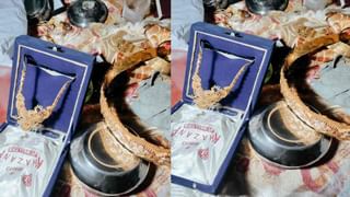 Andhra Pradesh: ఉల్లి రైతు గుండె మండింది.. చెమటోడ్చి పండించిన పంటకు నిప్పుపెట్టాడు.. వాచ్ వీడియో