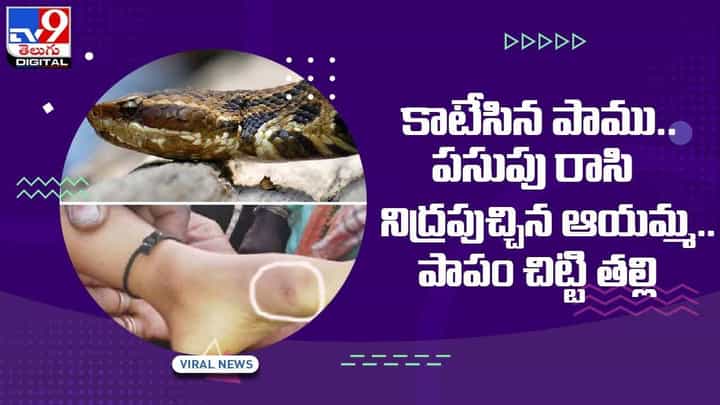 కాటేసిన పాము !! పసుపు రాసి నిద్రపుచ్చిన ఆయమ్మ !! చివరికి ఏమైందంటే ?? వీడియో కాటేసిన పాము !! పసుపు రాసి నిద్రపుచ్చిన ఆయమ్మ !! చివరికి ఏమైందంటే ?? వీడియో