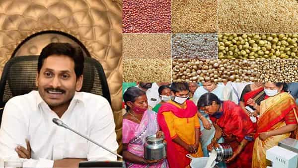 CM Jagan: వరికి బదులు మిల్లెట్స్ సాగు.. రైతులకు అవగాహన కల్పించాలన్న సీఎం జగన్..