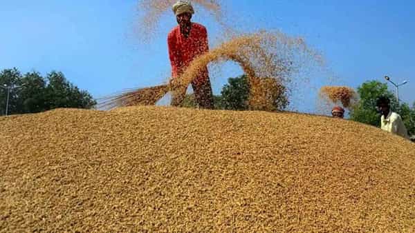 Yasangi: తెలంగాణ రైతులకు గుడ్న్యూస్.. ధాన్యం కొనుగోలుకు కేంద్రం గ్రీన్ సిగ్నల్..