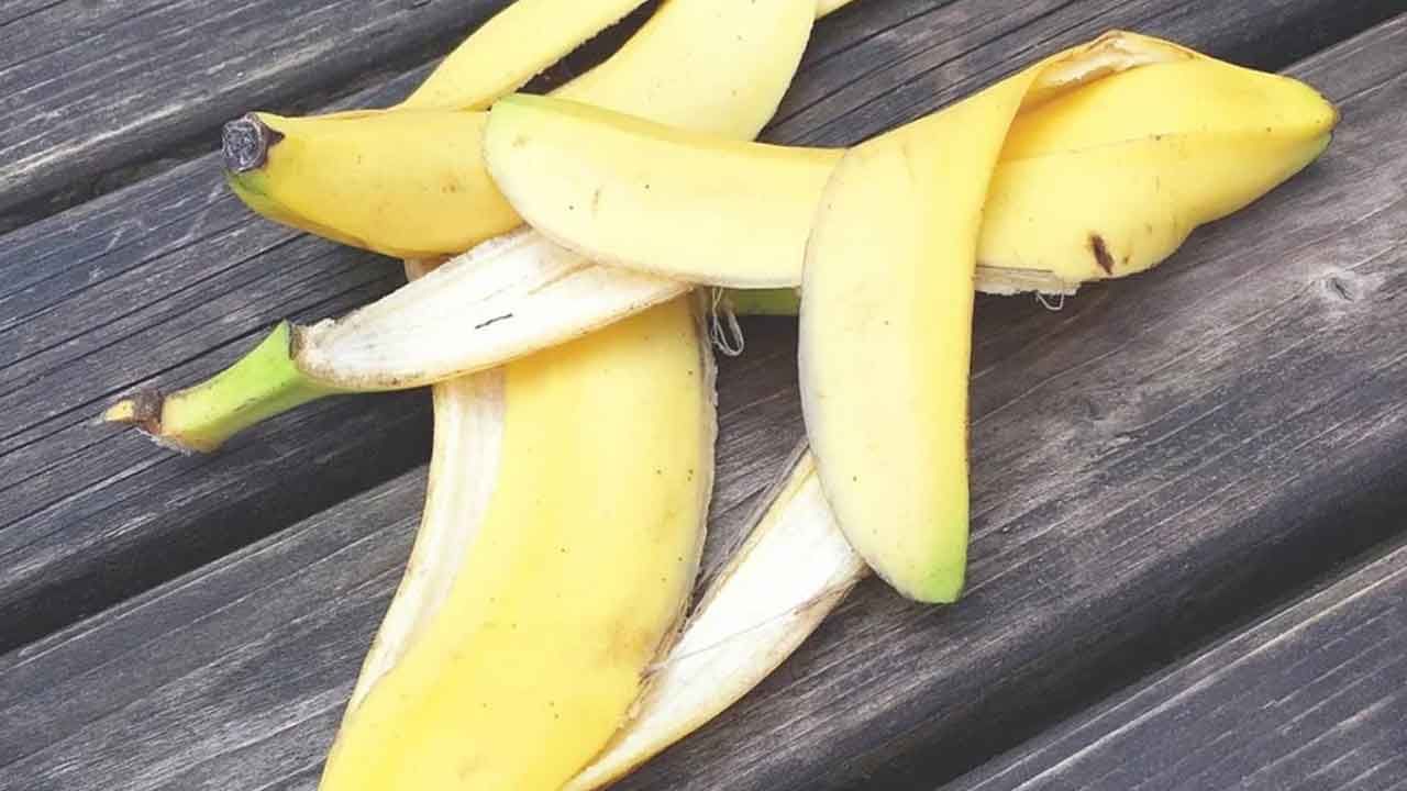 Banana Peel: తొక్కే కదా అని పడేస్తున్నారా? అరటి తొక్క ప్రయోజనాలు ఏంటో తెలిస్తే అస్సలు వదిలిపెట్టరు..!