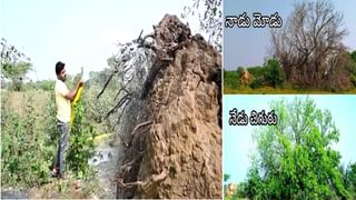 Covid lockdown: ఆ గ్రామస్థుల సెల్ఫ్ లాక్ డౌన్.. సిరిసిల్ల జిల్లాలో మళ్లీ కరోనా కలకలం..