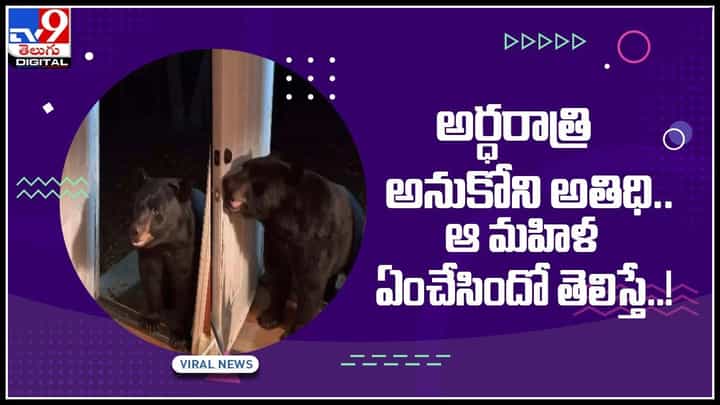 Bear Viral Video: అర్ధరాత్రి ఇంట్లోకి ప్రవేశించిన ఎలుగుబంటి మహిళ చేసిన పనికి నెటిజన్లు షాక్.. వైరల్ అవుతున్న వీడియో Bear Viral Video: అర్ధరాత్రి ఇంట్లోకి ప్రవేశించిన ఎలుగుబంటి మహిళ చేసిన పనికి నెటిజన్లు షాక్.. వైరల్ అవుతున్న వీడియో