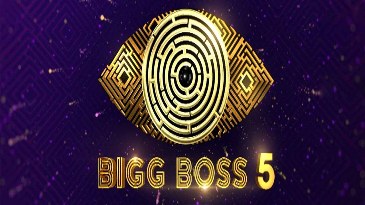 Bigg Boss 5 Telugu: బాలయ్యగా సన్నీ.. గబ్బర్‌ సింగ్‌లా మానస్‌.. సూపర్‌ స్టార్స్ లా మెప్పించిన హౌస్‌మేట్స్‌..