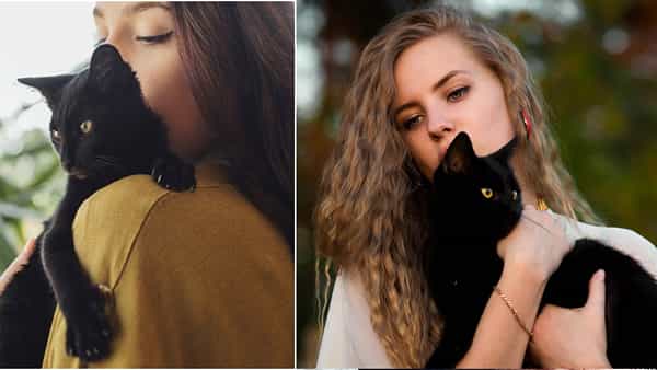 Black Cat: గృహ ప్రవేశం రోజు నల్ల పిల్లి వస్తే అదృష్టం కలిసివస్తుందట.. ఎక్కడో తెలుసా..