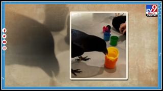 Black Diamond: దుబాయ్‌లో అతి పెద్ద నల్ల వజ్రం ఆవిష్కారం.. ఈ బ్లాక్ డైమండ్‌ చాలా స్పెషాల్..