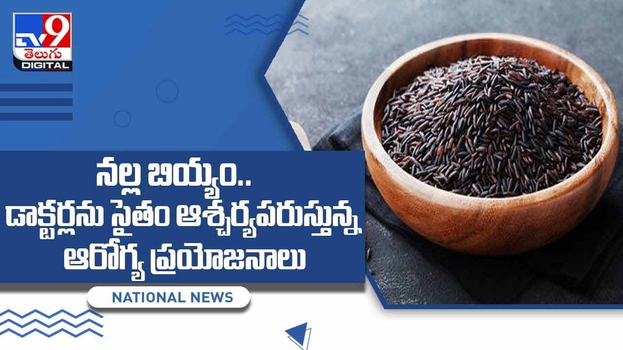 Black Rice Benefits : నల్ల బియ్యం.. డాక్టర్లను సైతం ఆశ్చర్యపరుస్తున్న ఆరోగ్య ప్రయోజనాలు !! వీడియో