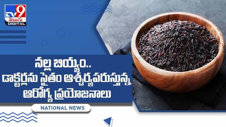 Black Rice Benefits : నల్ల బియ్యం.. డాక్టర్లను సైతం ఆశ్చర్యపరుస్తున్న ఆరోగ్య ప్రయోజనాలు !! వీడియో Black Rice Benefits : నల్ల బియ్యం.. డాక్టర్లను సైతం ఆశ్చర్యపరుస్తున్న ఆరోగ్య ప్రయోజనాలు !! వీడియో