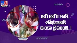 Viral Video: పిల్లిని చూసి రాయిలా మారిన వేట కుక్క !! షాకైన ఓనర్ !! వీడియో