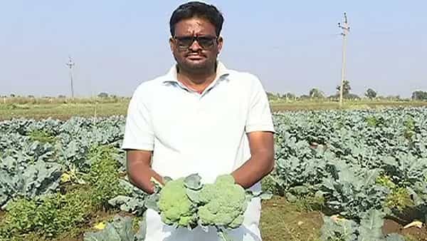 Adilabad: యూట్యూబ్ చూసి బ్రకోలి సాగు... లక్షల్లో లాభాలు గడిస్తోన్న రైతు