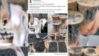 Viral Photo: ఈ ఫోటోలో నక్కిన నక్కను కనిపెట్టండి చూద్దాం.. ఖచ్చితంగా సాల్వ్ చేయలేరు!