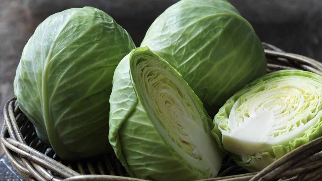 Cabbage Side Effects: ఈ వ్యక్తులు క్యాజేజీని అస్సలు తినకూడదట.. ఎందుకో తెలుసుకోండి..