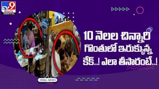 Viral Video: దెయ్యంతో ఆటలాడిన కుక్క.. వీడియో చూస్తే షాక్