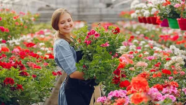 Career in Floriculture: ఈ రంగాన్ని వ్యాపారంగా ఎంచుకుంటే డబ్బులు చెట్లకు పూస్తాయి.. మీరు కూడా ట్రై చేయవచ్చు..