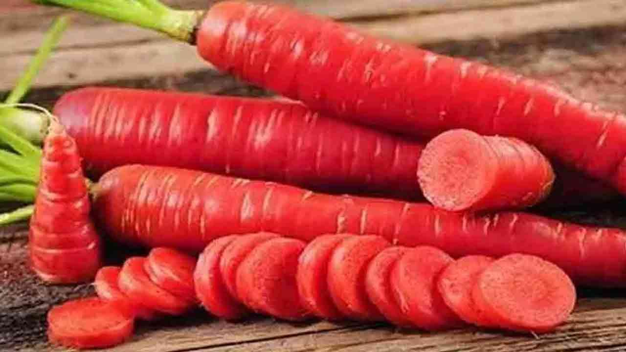 Carrot Benefits వింటర్‌లో క్యారెట్ తింటే ఆ సమస్యలన్నీ మటుమాయం.. ఇంకా