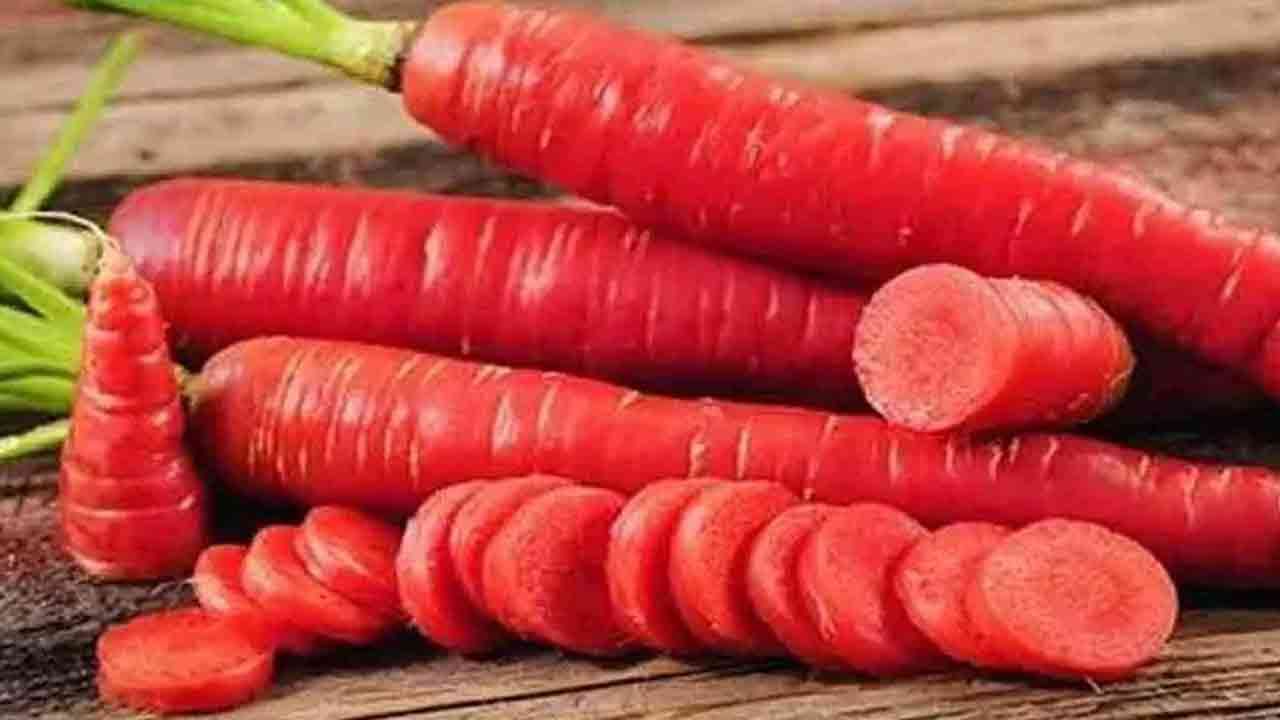 Carrot Benefits: వింటర్‌లో క్యారెట్ తింటే ఆ సమస్యలన్నీ మటుమాయం.. ఇంకా ఎన్నో ఆరోగ్య ప్రయోజనాలు..
