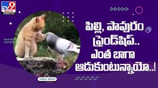 Viral Video: నిప్పులు చిమ్మే ఫైర్‌ ఫ్రూట్‌ దోసె.. ఎక్కడ దొరుకుతుందంటే..