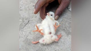 Andhra Pradesh OTS Scheme: ఇళ్ల నిర్మాణాలపై గేర్ మార్చుతున్న సీఎం జగన్.. అధికారులకు ఎలాంటి దిశానిర్దేశం చేశారంటే..!