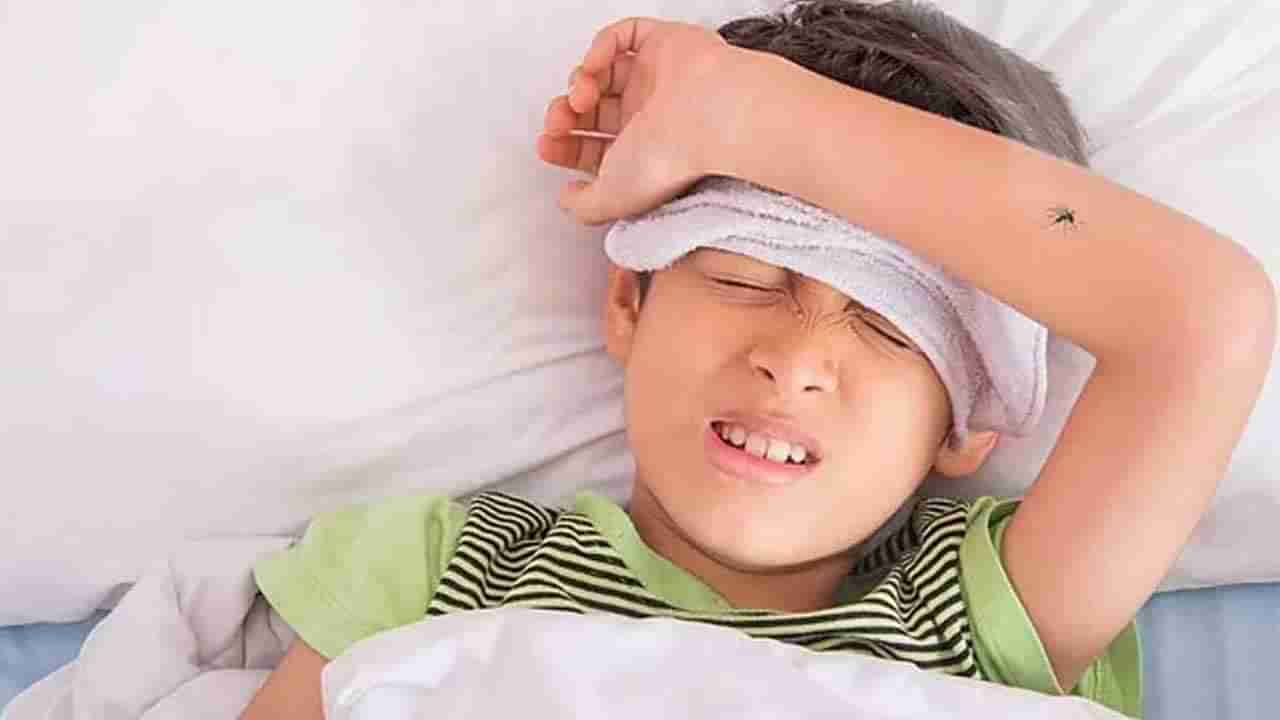 Winter: చలికాలం పిల్లలను జాగ్రత్తగా చూసుకోండి.. లేకంటే ప్లూ, న్యూమోనియా రావొచ్చు..