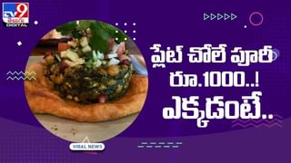 Viral Video: సింహం పై దాడికి రెడీ అయిన కుక్క !! చూస్తే ఆశ్చర్య పోవాల్సిందే !! వీడియో