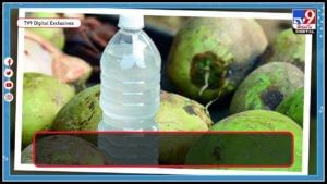 Coconut Water: ఈ సమస్యలు ఉన్నవారు కొబ్బరి నీరు తాగితే ప్రమాదమే.. ఎందుకో తెలుసా..?(వీడియో)
