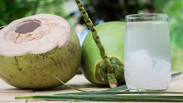 Coconut Water: కొబ్బరి బోండాతో ఆరోగ్యానికి అండ.. పోషక విలువలు తెలిస్తే అస్సలు వదలరు..