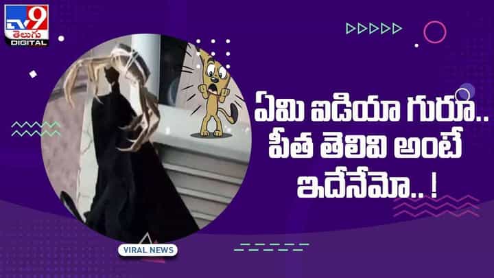 Viral Video: వాటెన్ ఐడియా సర్జీ !! పీతతో బట్టలు తీయించారు !! వీడియో Viral Video: వాటెన్ ఐడియా సర్జీ !! పీతతో బట్టలు తీయించారు !! వీడియో