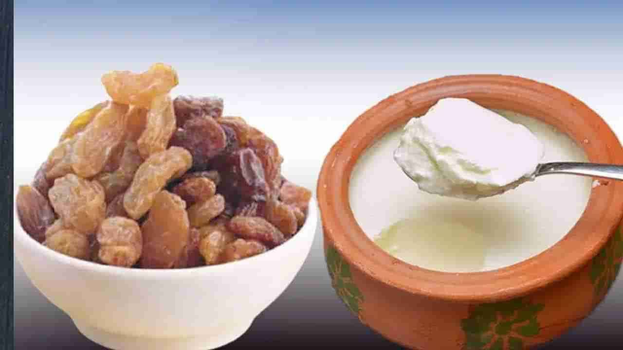 Curd And Kishmish Benefits: మీరు ఫిట్‌గా ఉండాలనుకుంటే ఈ రెండింటిని ఆహారంలో చేర్చుకోండి..