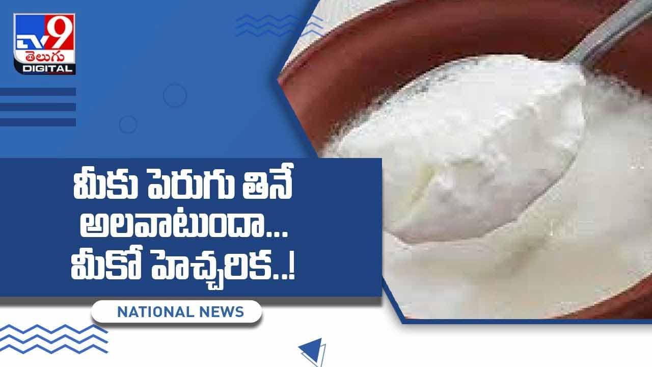 Curd: మీకు పెరుగు తినే అలవాటుందా !! మీకో హెచ్చరిక !! వీడియో