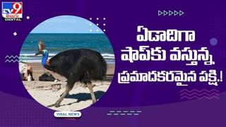 Viral Video: వామ్మో.. ఎలుకలను ఒకేసారి మింగేసిన రెండు తలల పాము.. వీడియో చూస్తే వణుకు పుట్టడం ఖాయం..